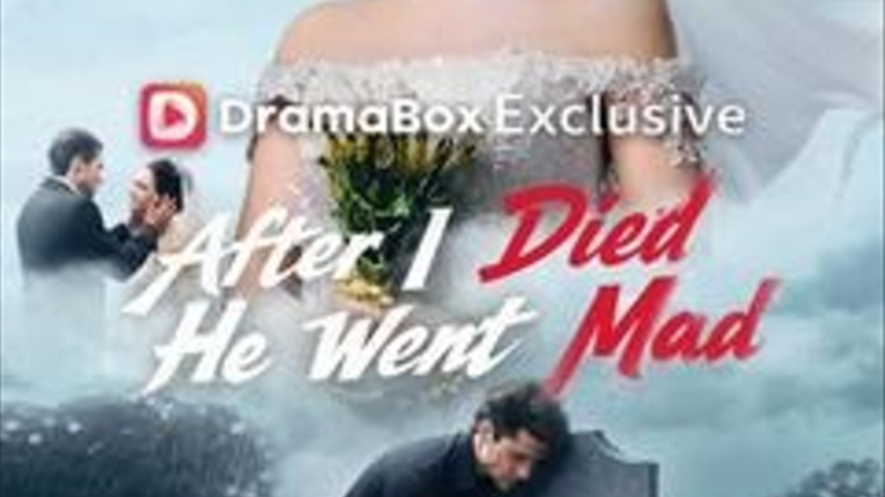 After I Died, He Went Mad poster