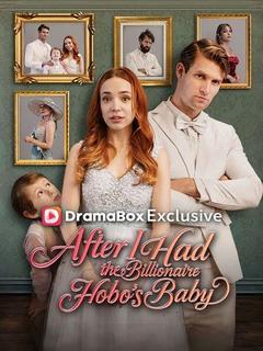 After I Had the Billionaire Hobo’s Baby poster