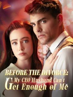 Before the Divorce: My CEO Husband Can’t Get Enough of Me poster