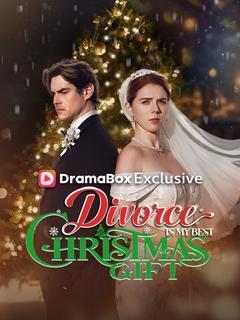 Divorce is My Best Christmas Gift poster