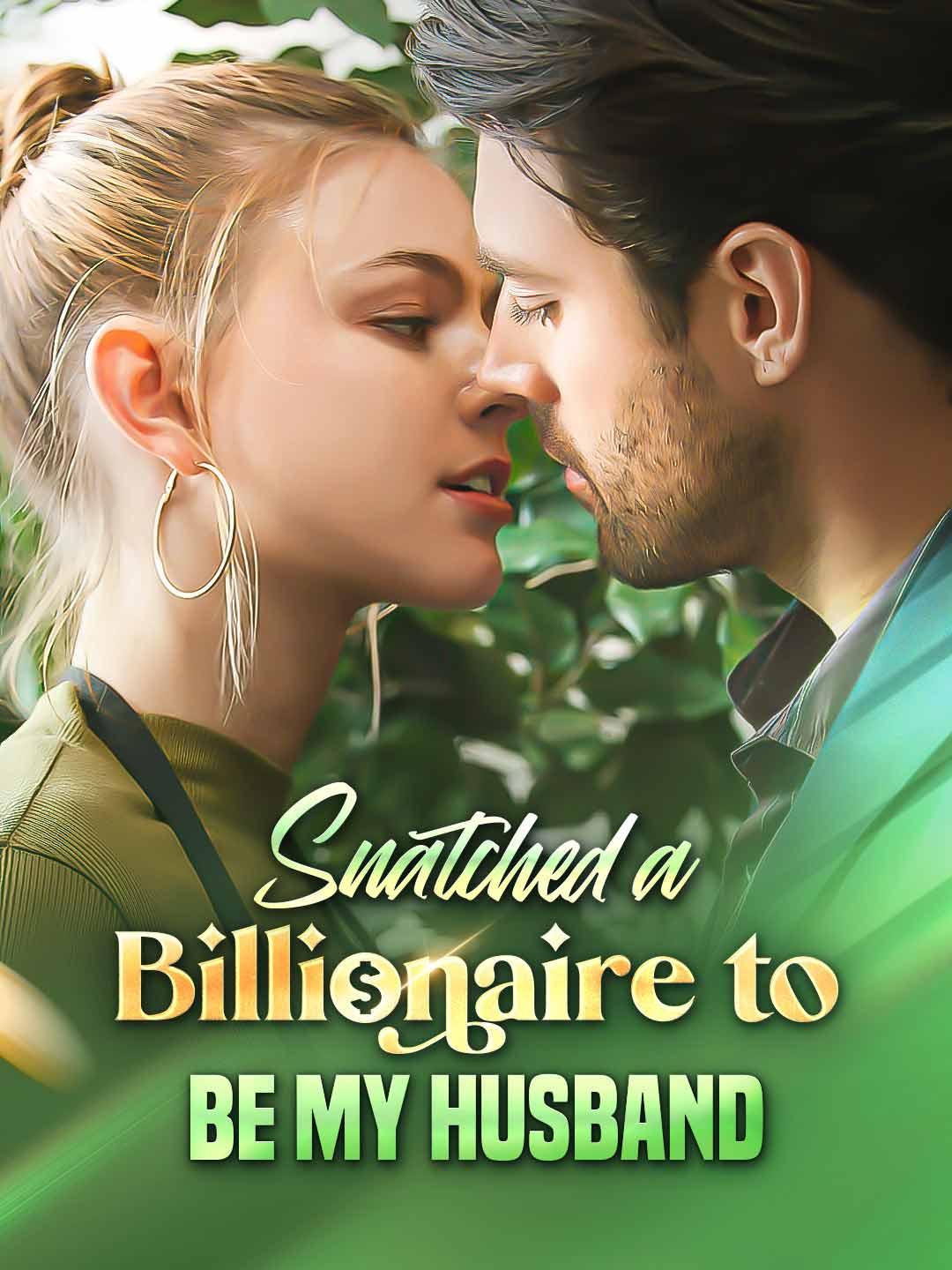 Snatched a Billionaire to be My Husband poster