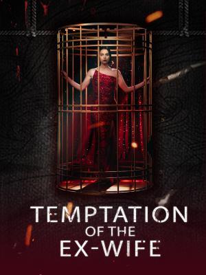 Temptation of the Ex-Wife poster