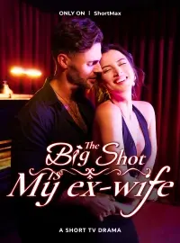 The Big Shot is My Ex-Wife poster