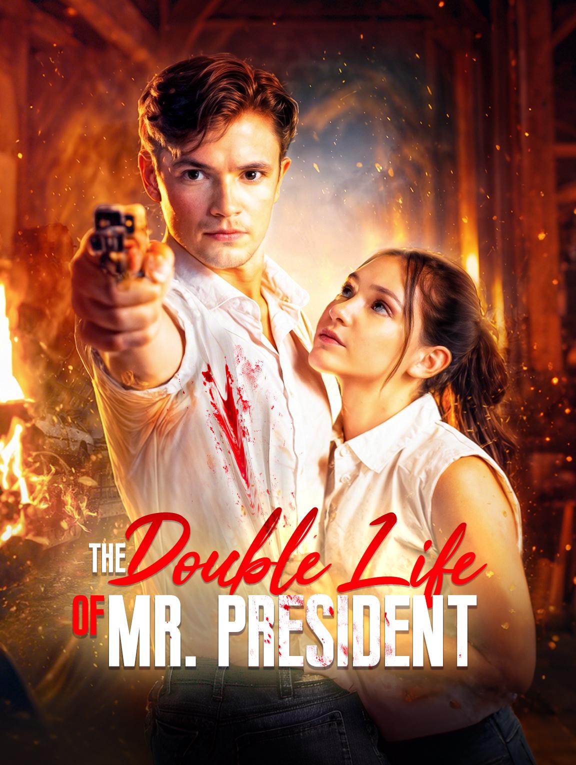 The Double Life of Mr. President poster