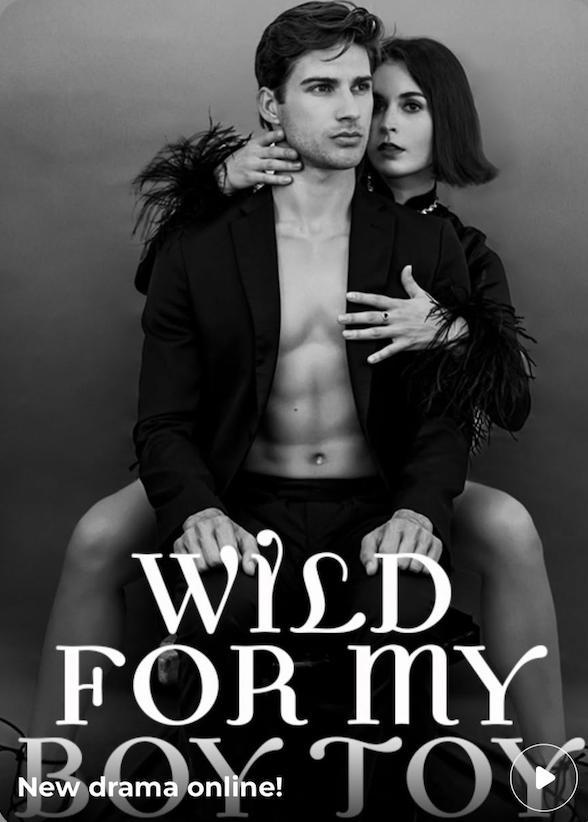 Wild for My Boy Toy poster