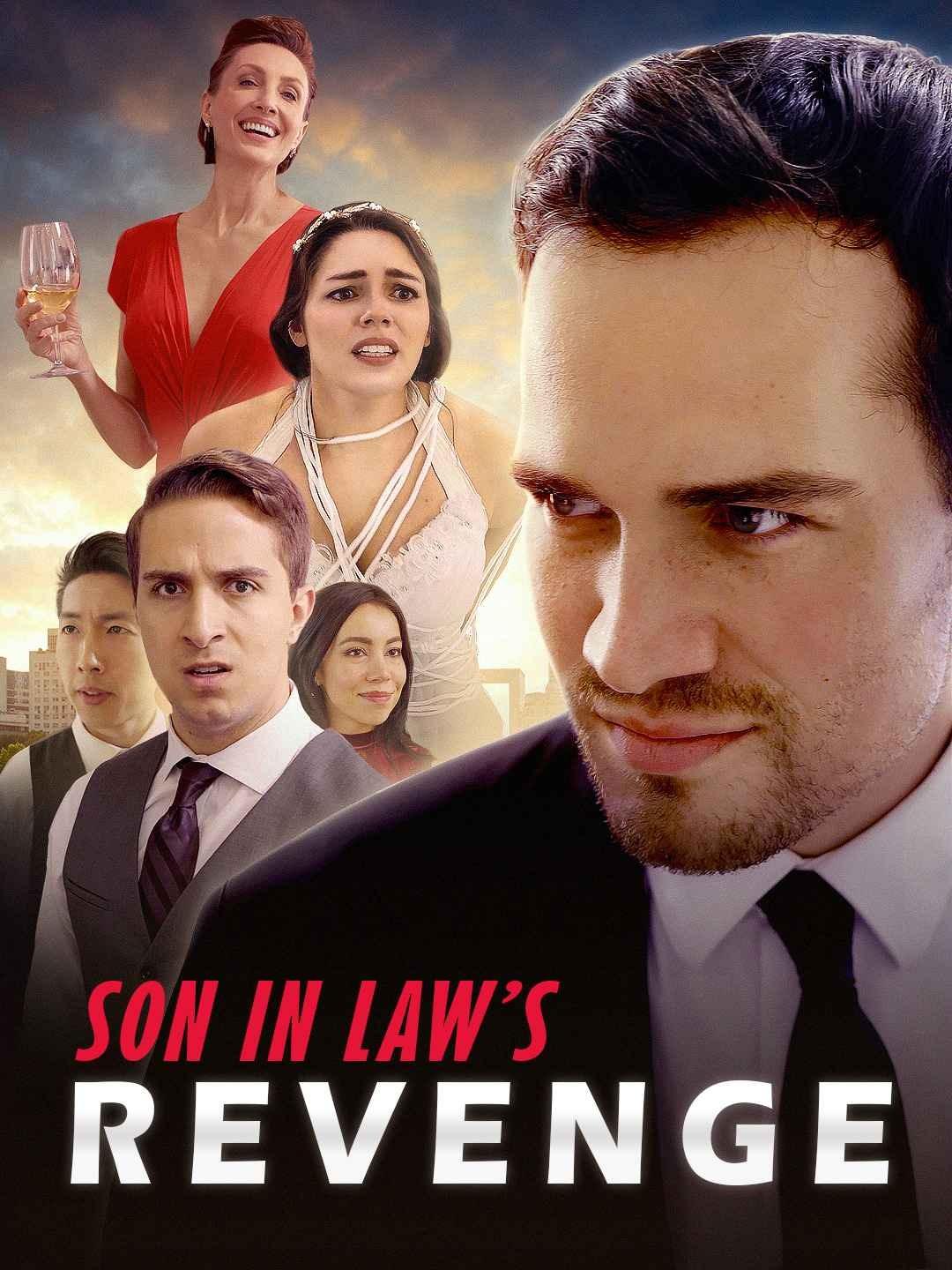 Son in Law’s Revenge poster