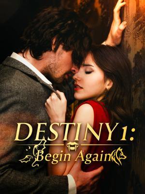 Destiny 1: Begin Again poster