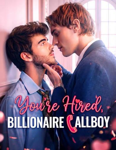 You’re Hired, Billionaire Callboy poster