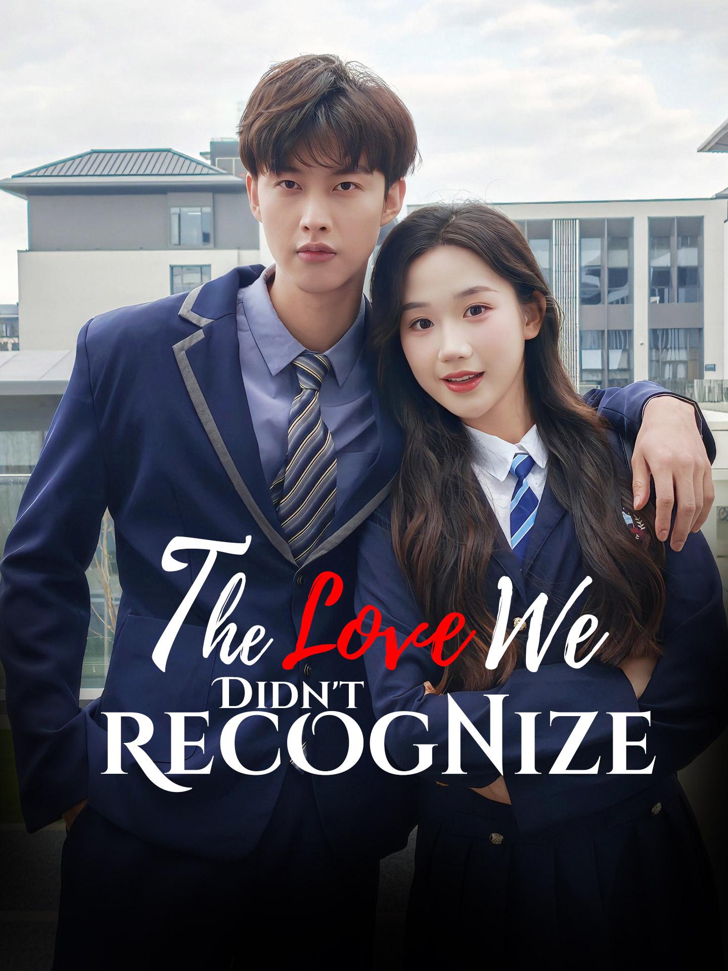 The Love We Didn’t Recognize poster