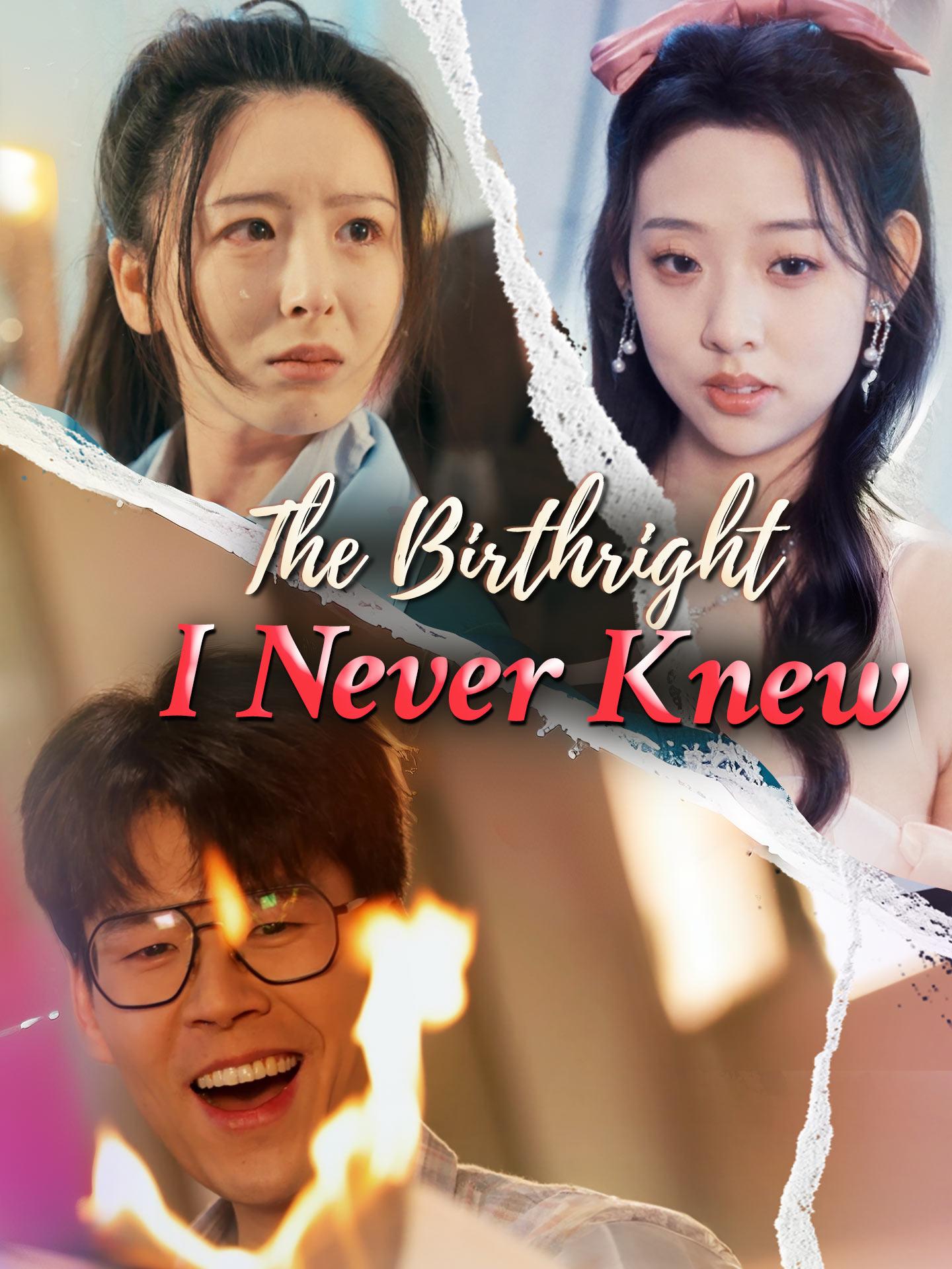 The Birthright I Never Knew poster