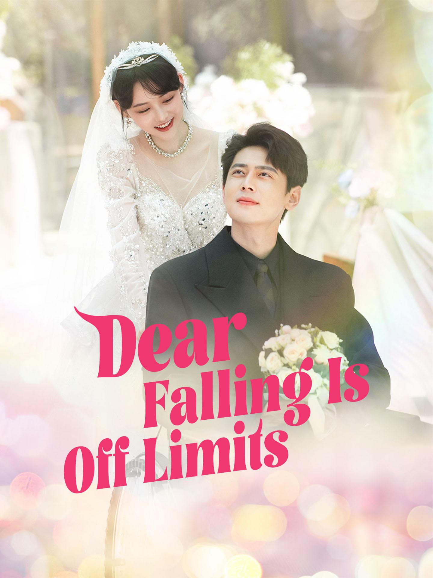 Dear, Falling is Off Limits poster
