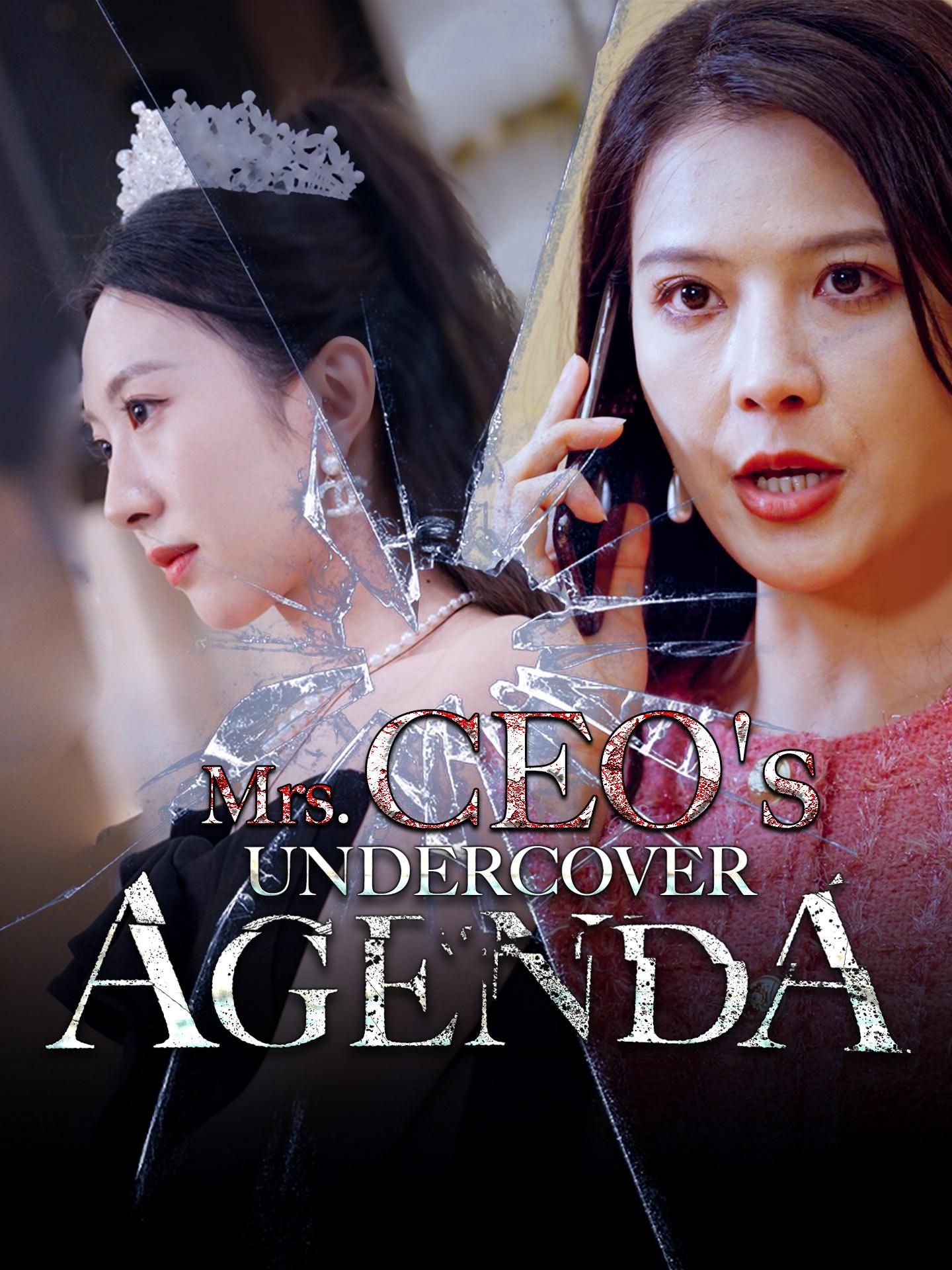 Mrs. CEO’s Undercover Agenda poster