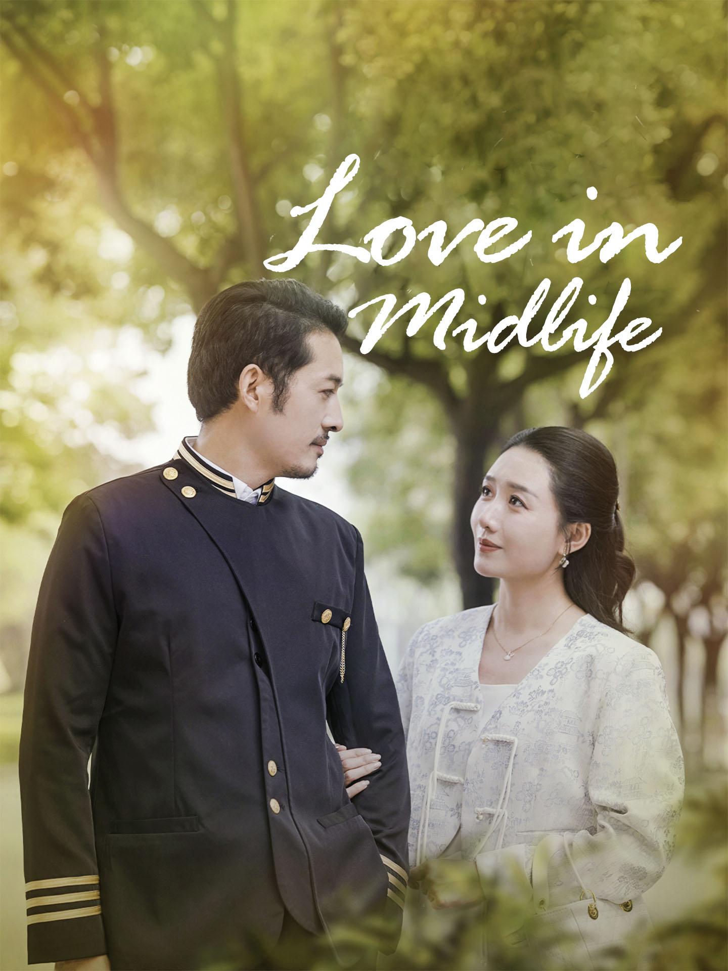 Love at Midlife poster