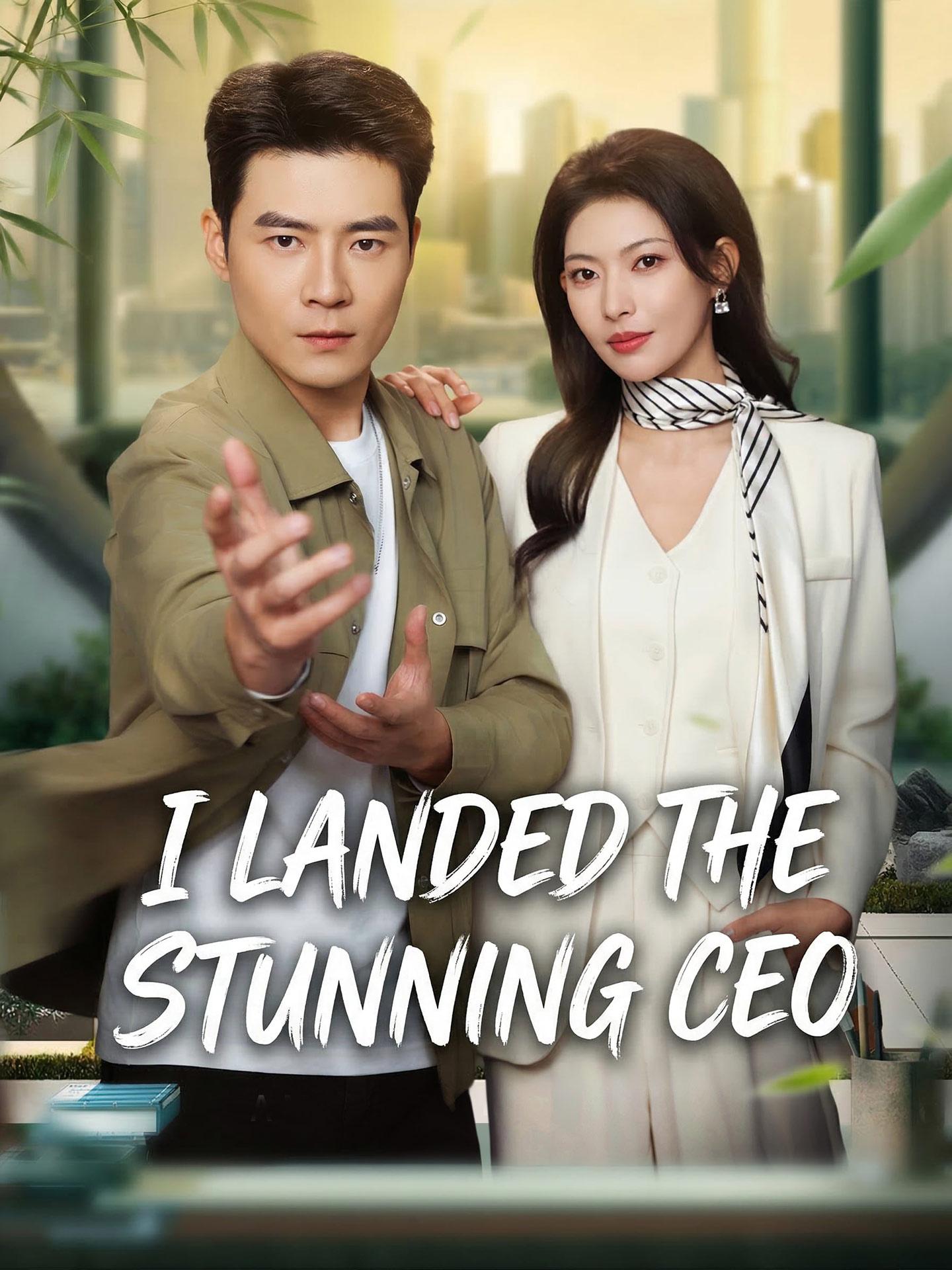 I Landed the Stunning CEO poster