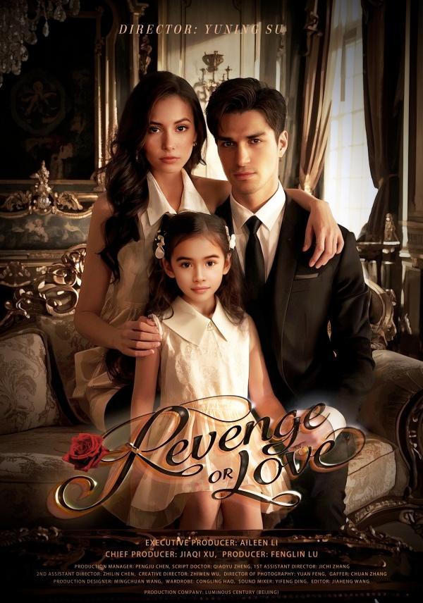Revenge or Love poster