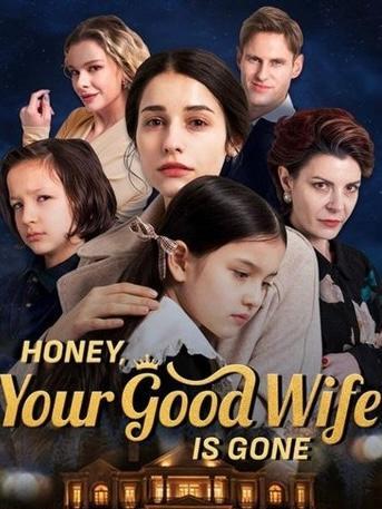 Honey, Your Good Wife is Gone poster