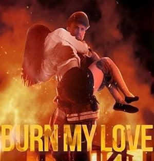 Burn My Love poster