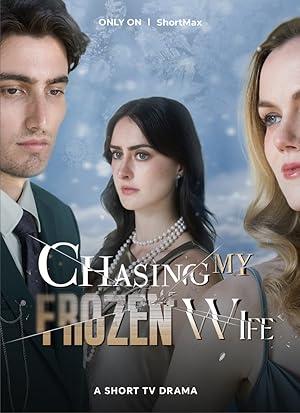 Chasing My Frozen Wife poster