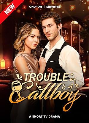 Trouble is a Callboy poster