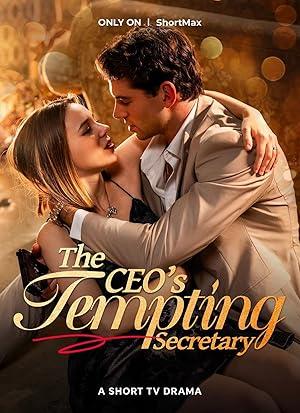 The CEO’s Tempting Secretary poster