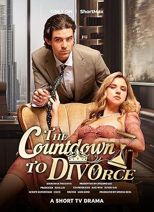 The Countdown to Divorce poster