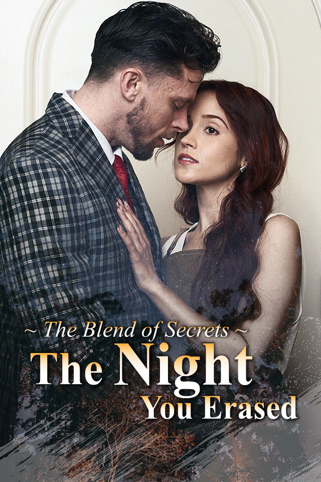 The Night You Erased poster