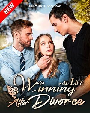Winning at Life After Divorce poster