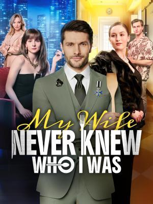 My Wife Never Knew Who I Was poster