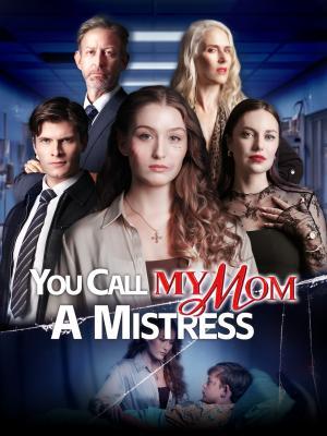 You Called My Mom a Mistress poster
