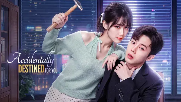 Accidentally Destined for You poster