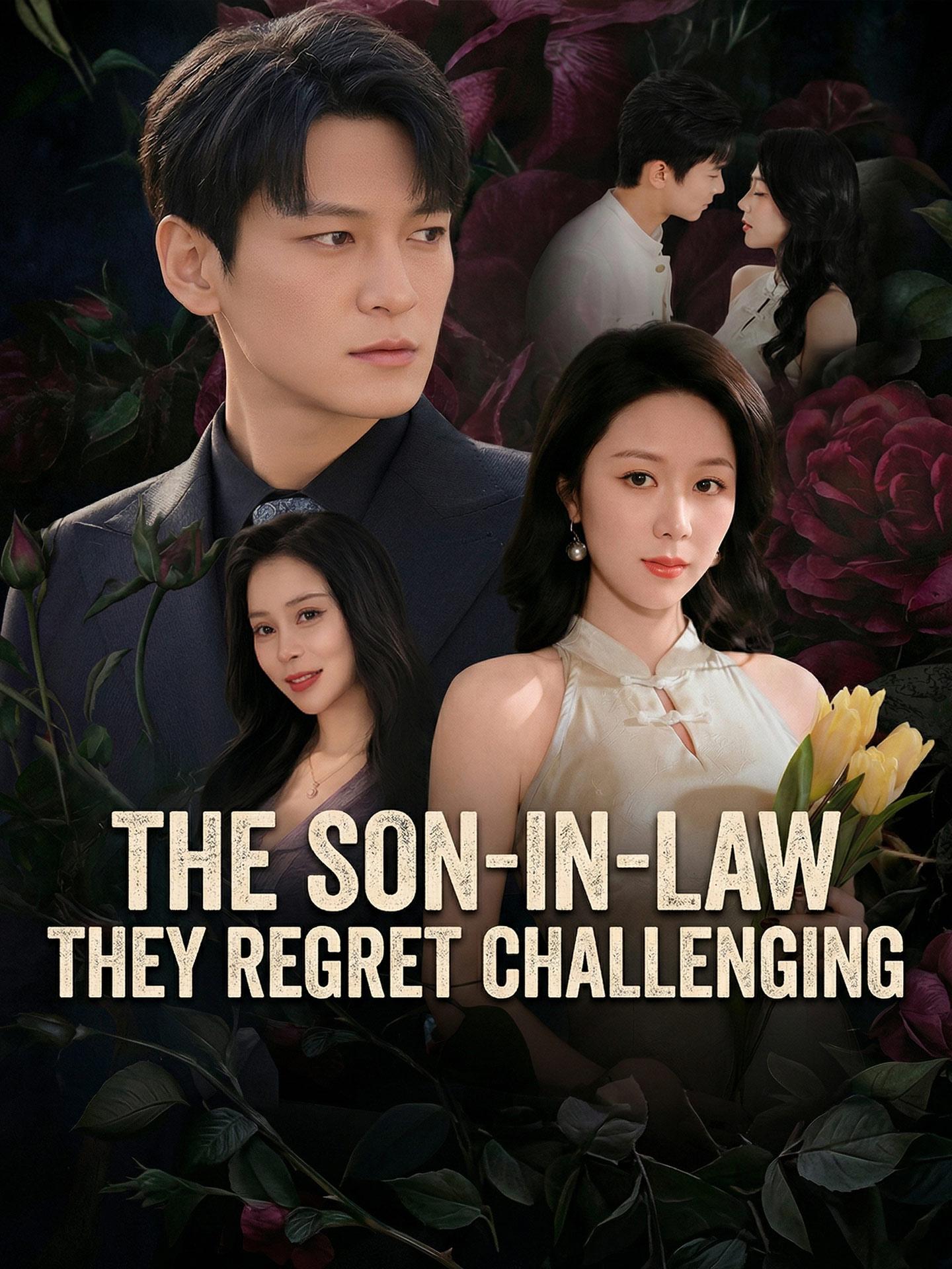 The Son-in-Law They Regret Challenging poster