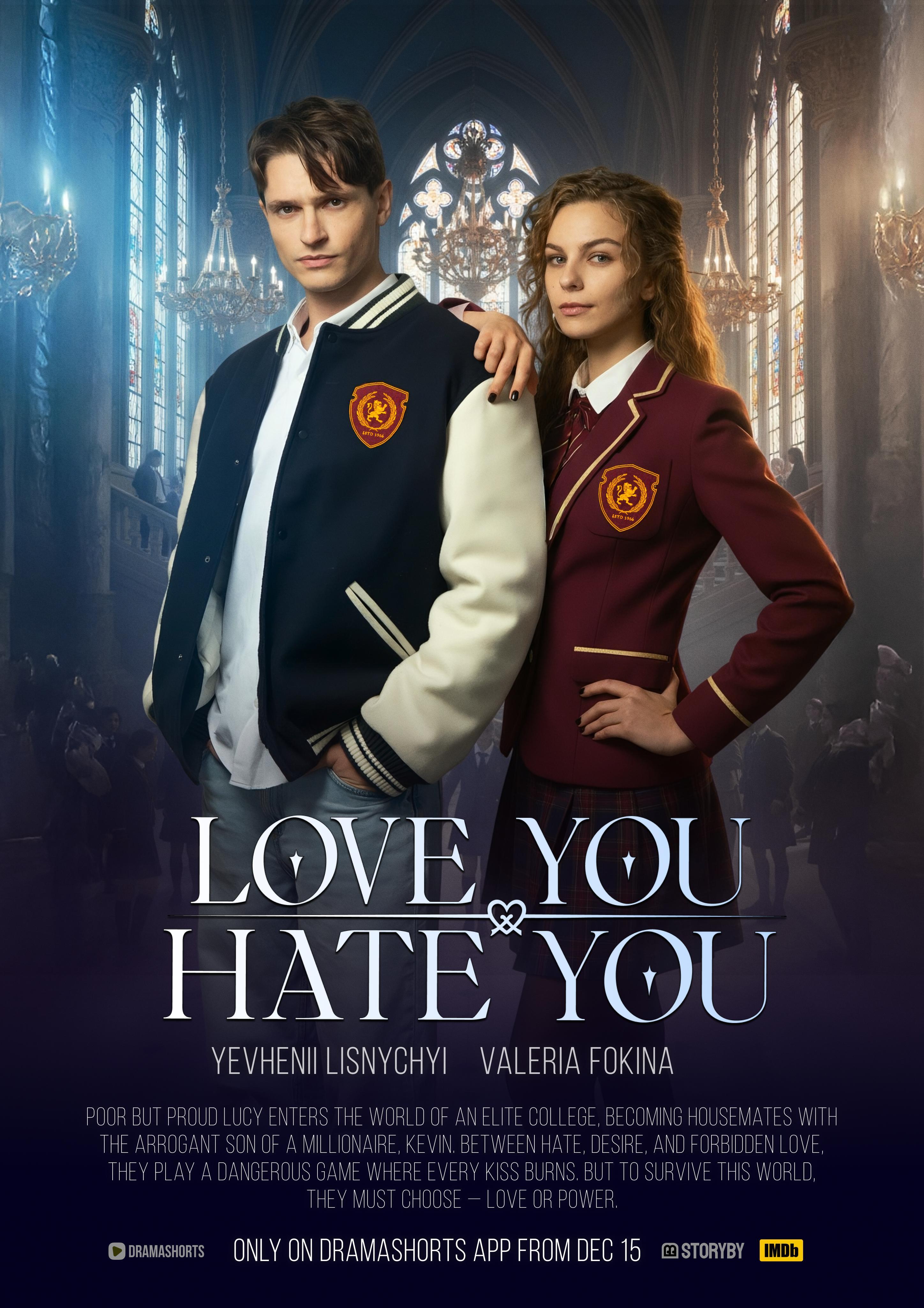 Love You: Hate You poster