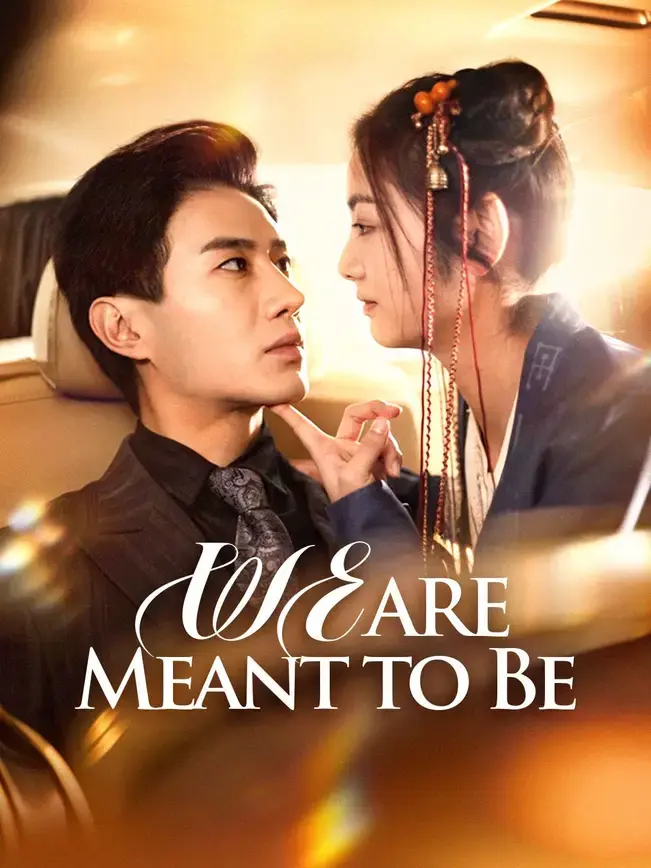 We are Meant to be a Family poster