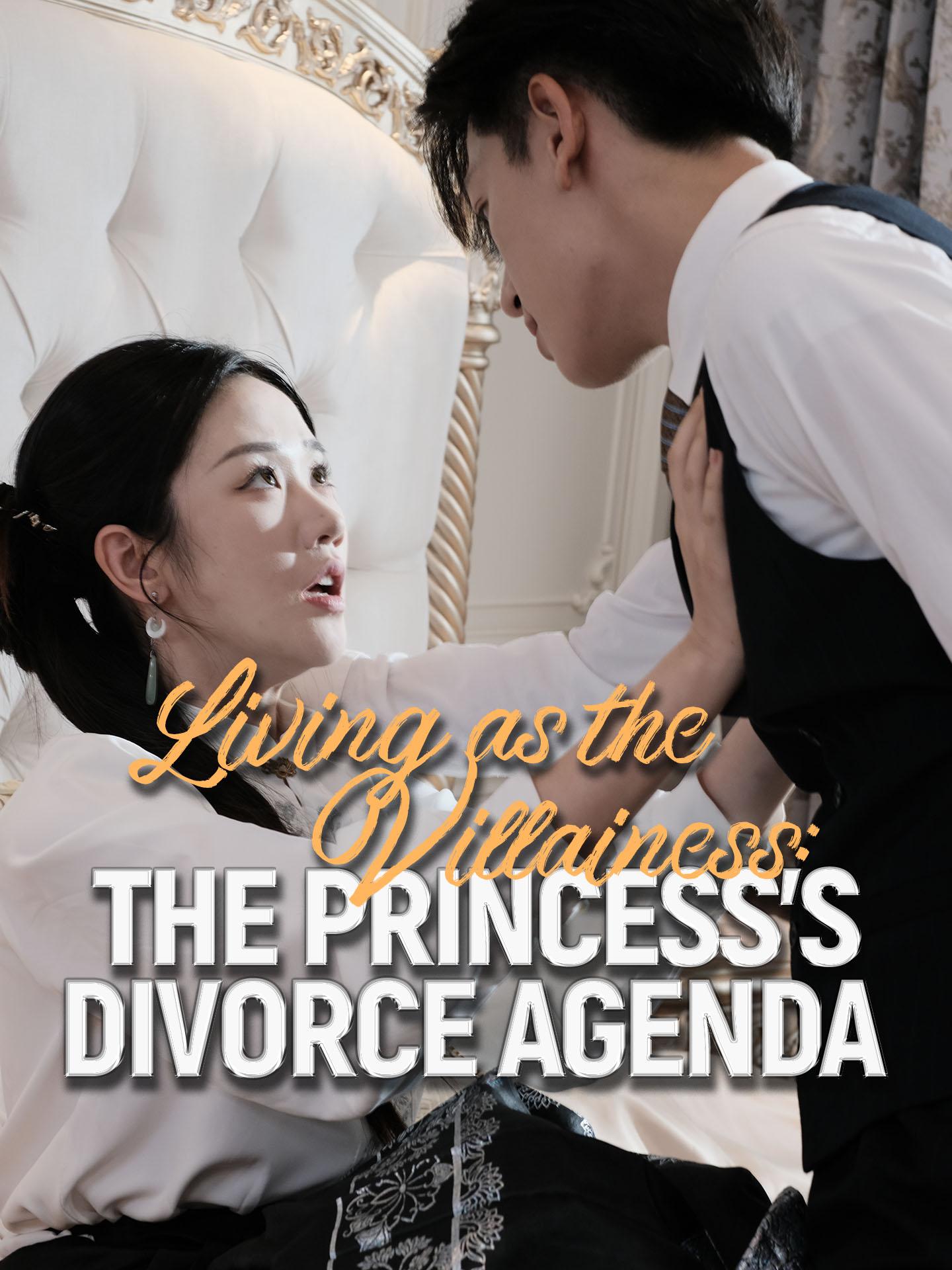 Living as the Villainess: The Princess’s Divorce Agenda poster