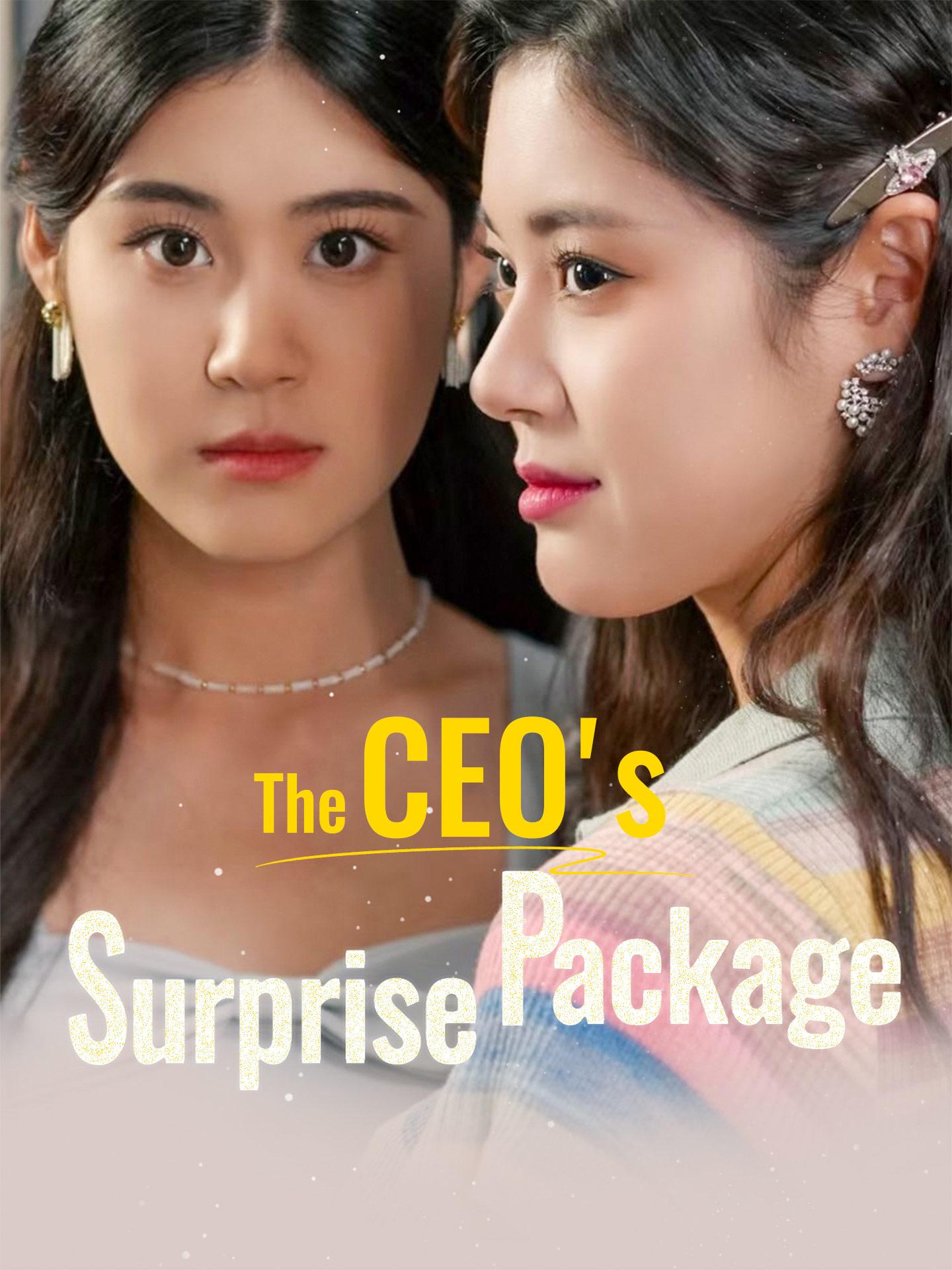 The CEO’s Surprise Package poster