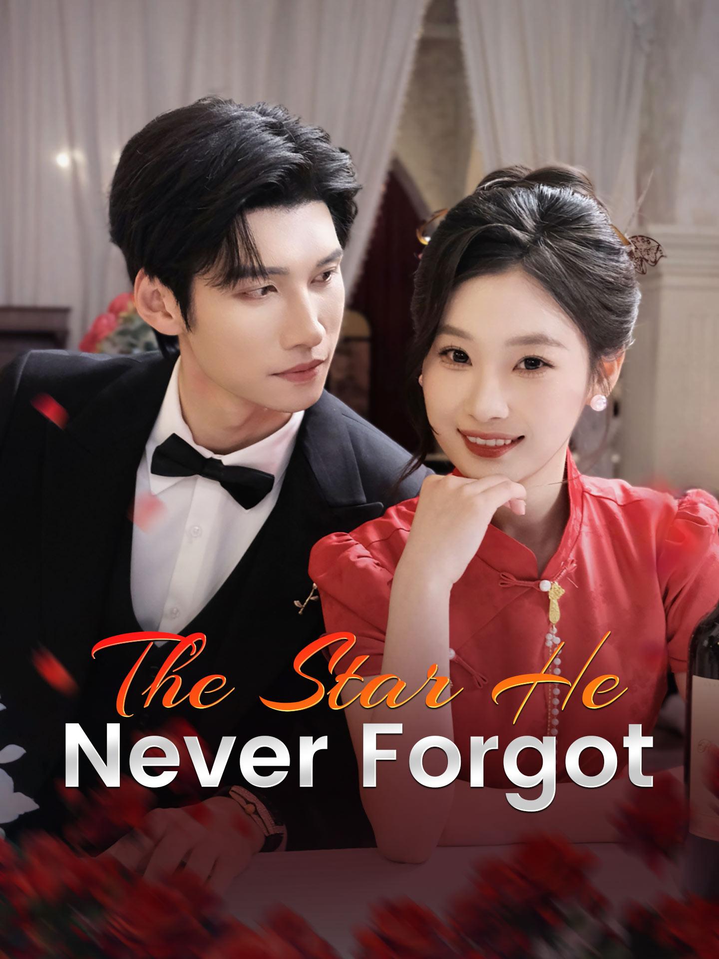 The Star He Never Forgot poster