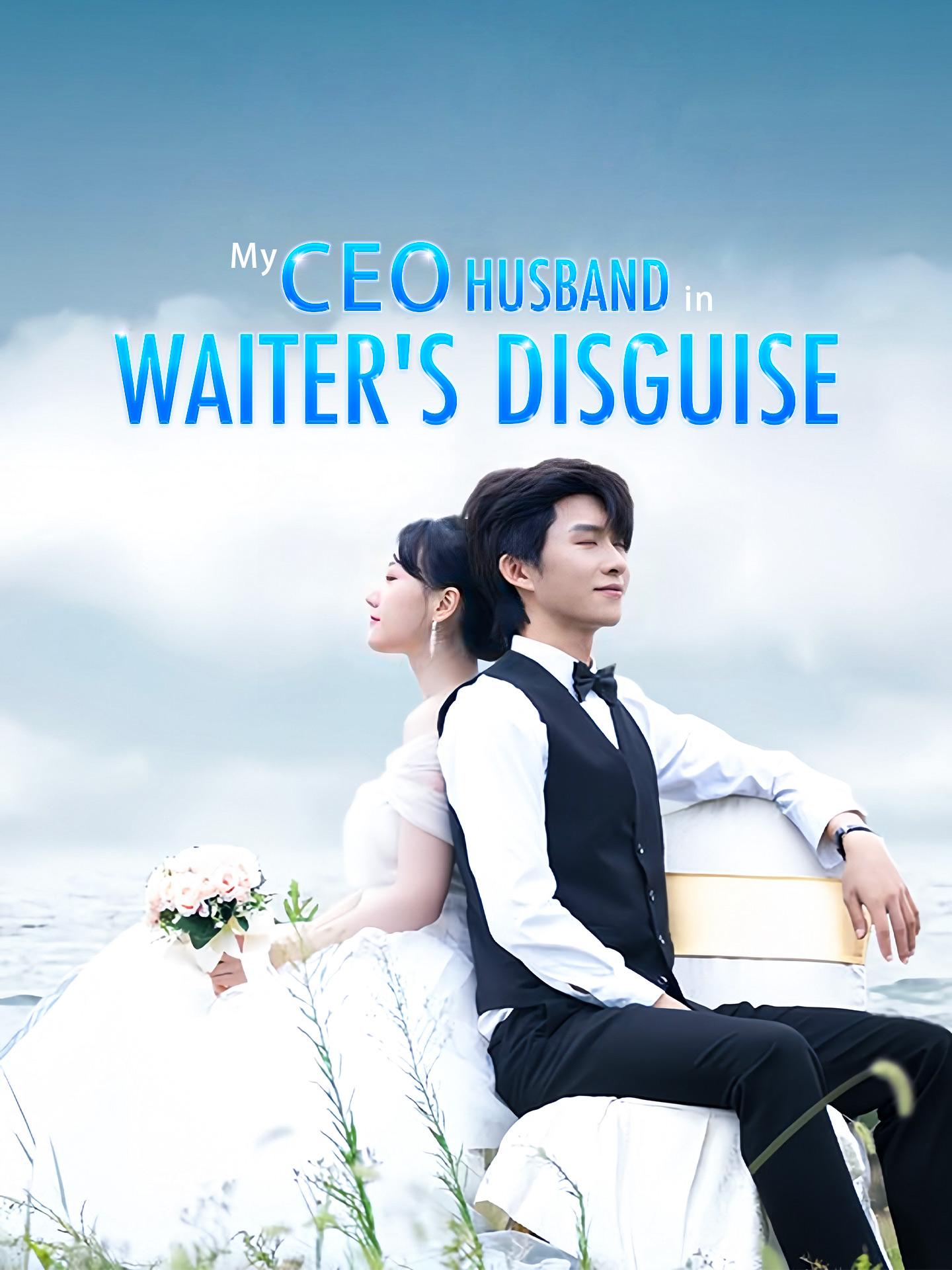 My CEO Husband in Waiter’s Disguise poster
