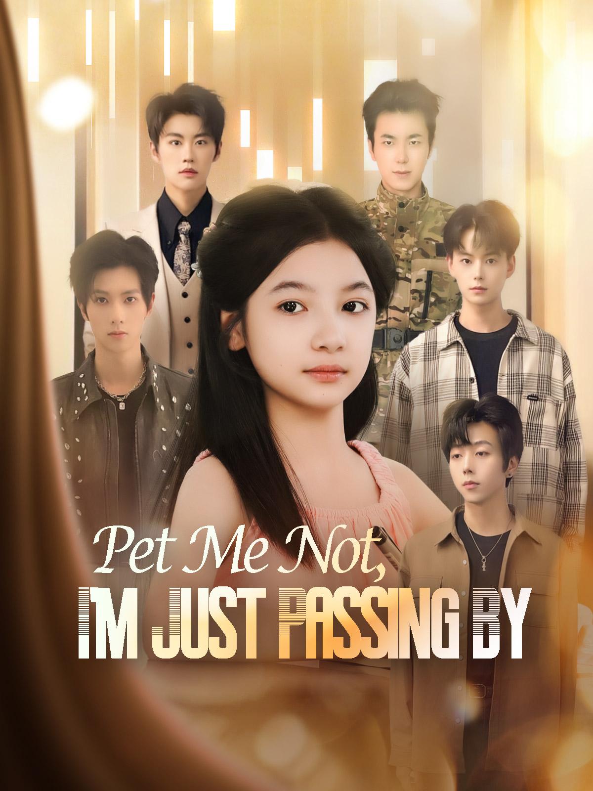 Pet Me Not, I’m Just Passing By poster