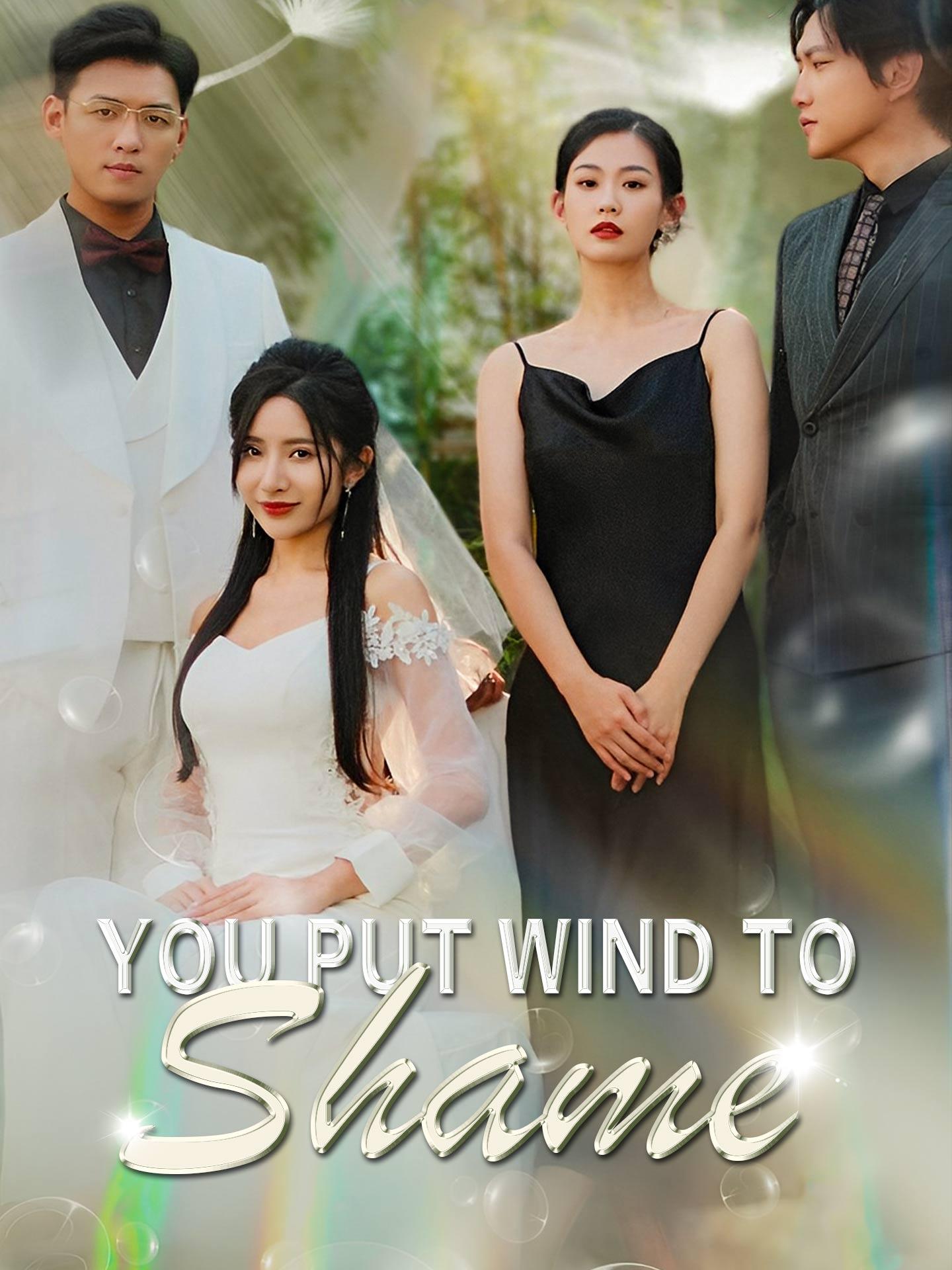 You Put Wind to Shame poster