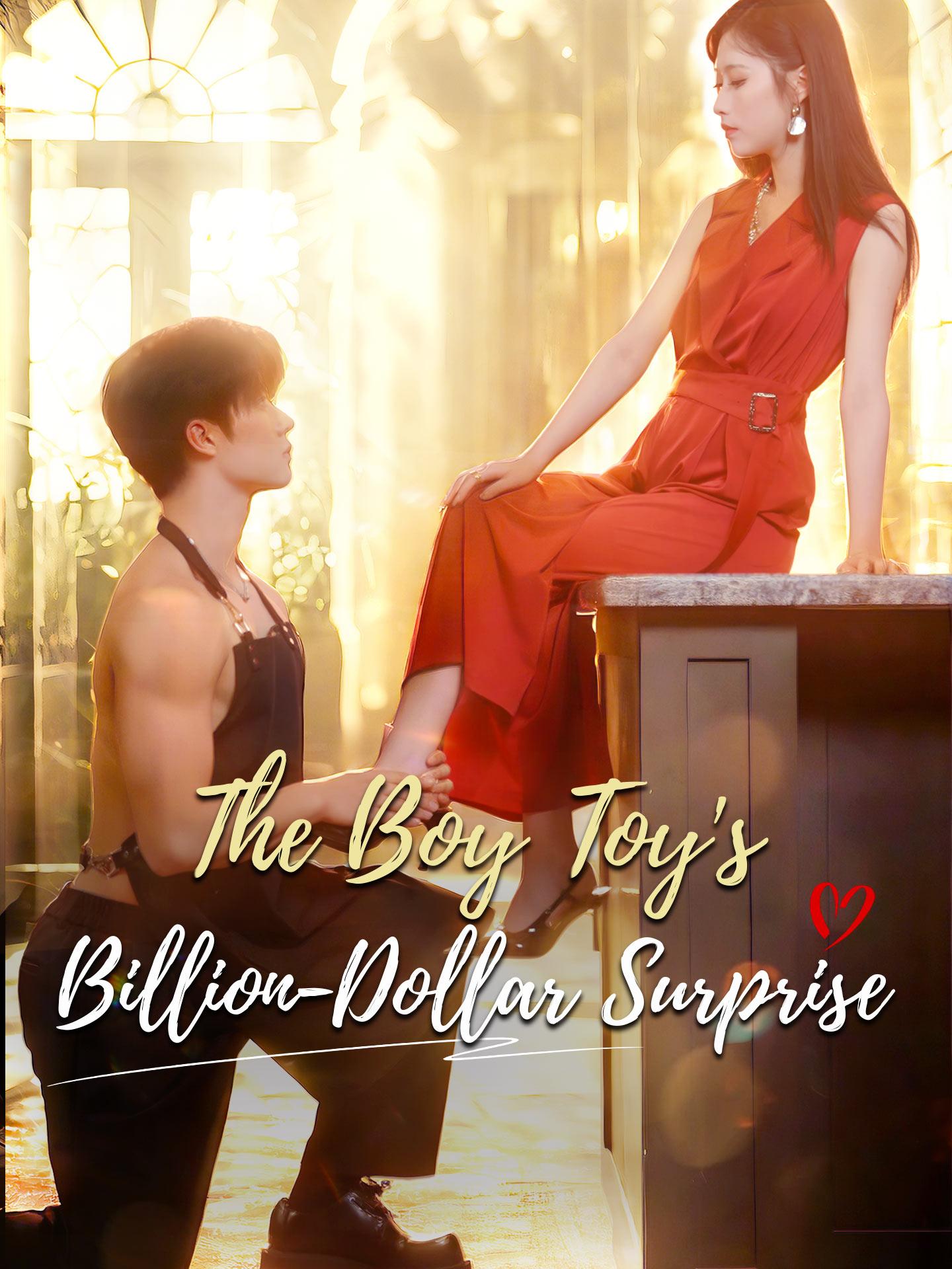 The Boy Toy’s Billion-Dollar Surprise poster