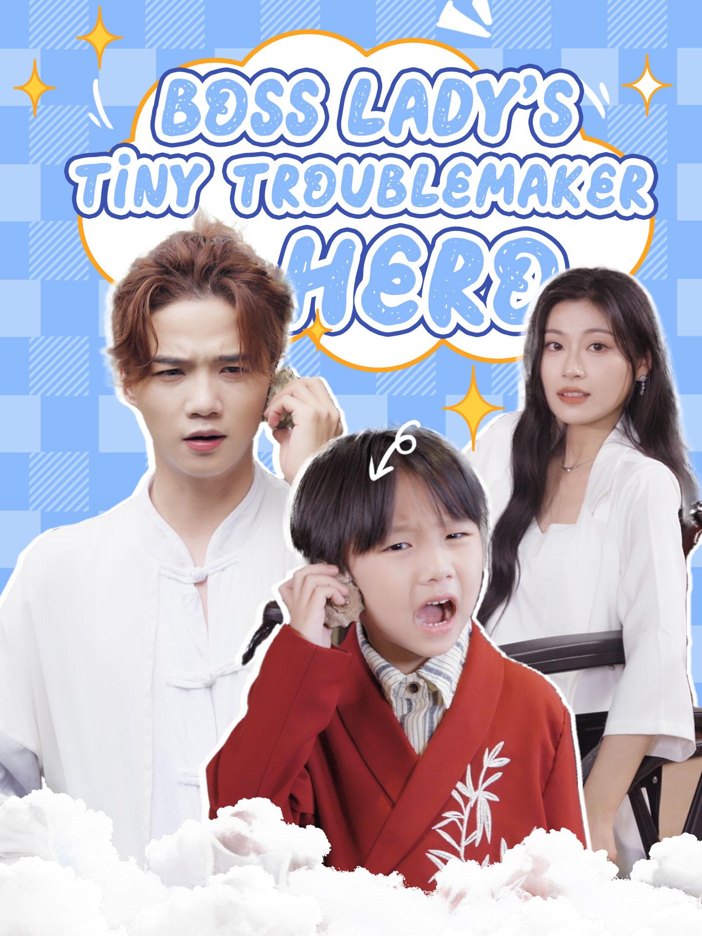 Boss Lady’s Tiny Troublemaker Hero poster