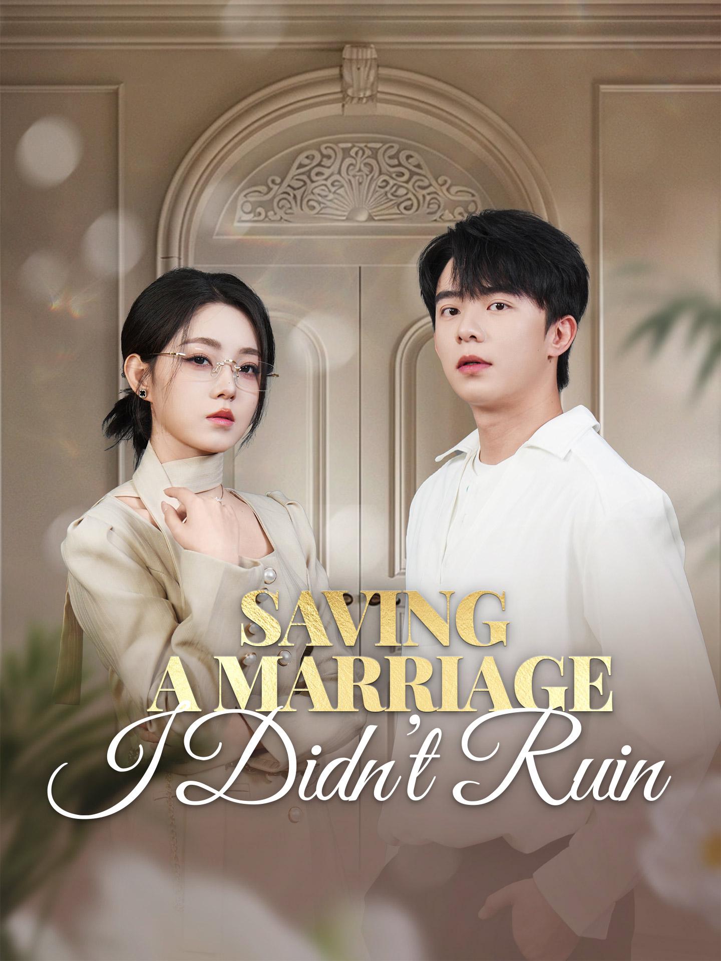 Saving a Marriage I Didn’t Ruin poster