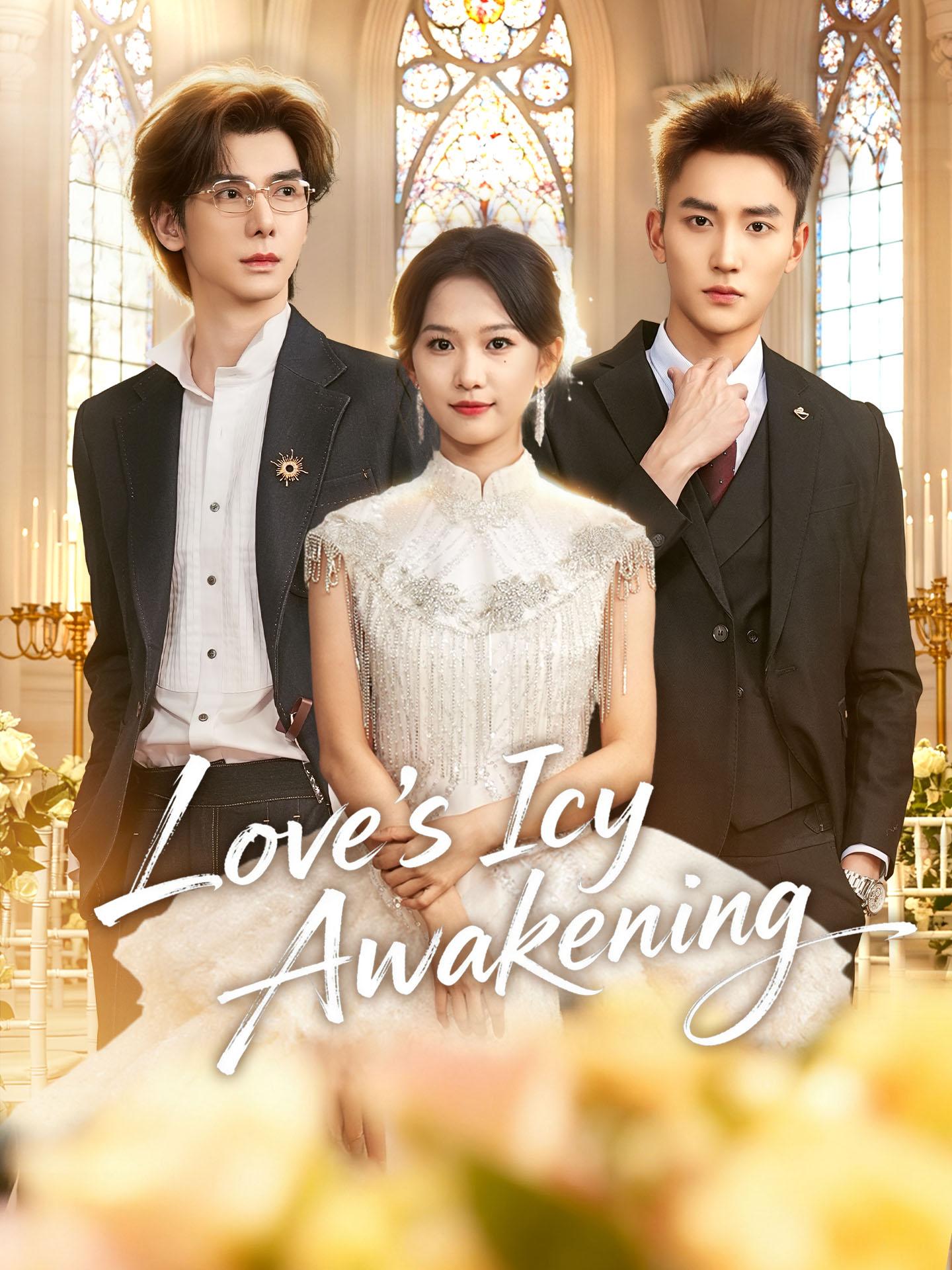 Love’s Icy Awakening poster