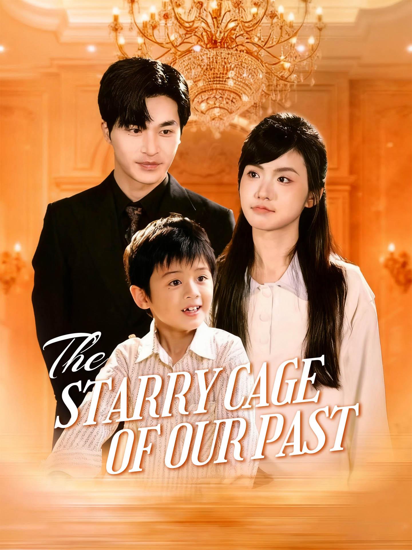 The Starry Cage of Our Past poster