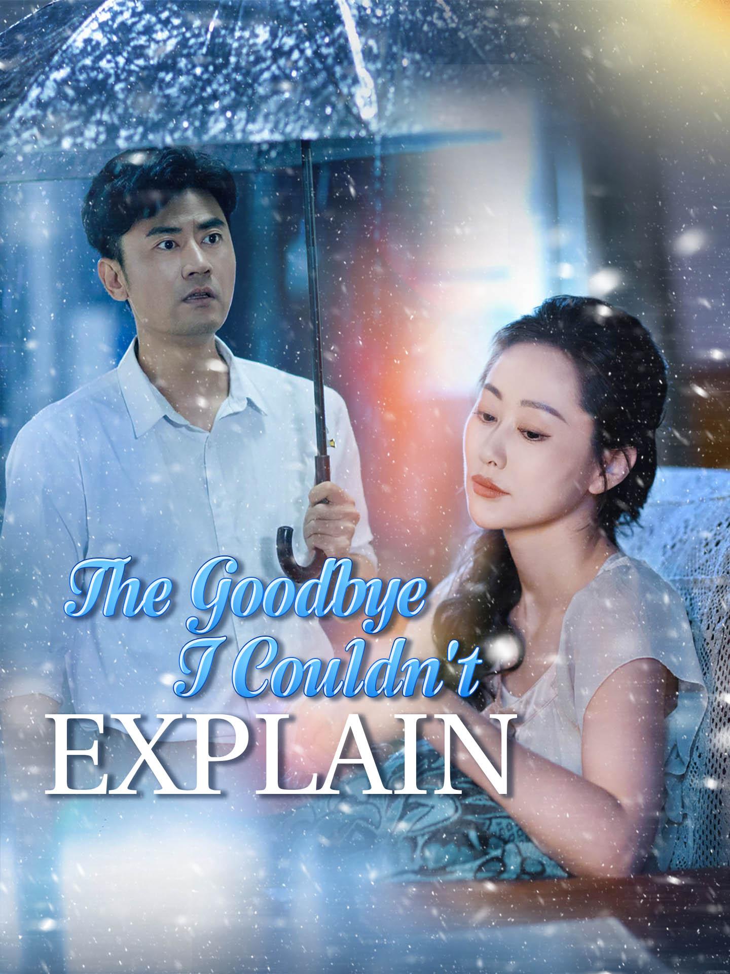 The Goodbye I Could’t Explain poster