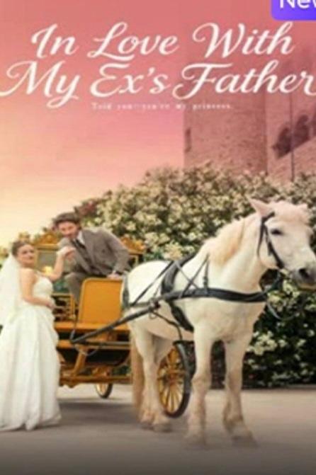 In Love With My Exs Father poster